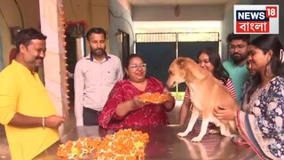 ভাইরাল এই দৃশ্য ভাইরাল এই দৃশ্য