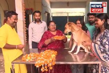 দীপাবলি 'ওদের'ও! শিলিগুড়িতে পালিত হল কুকুর তিহার! জানেন কী এটা?