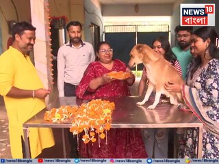 ভাইরাল এই দৃশ্য