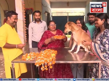 ভাইরাল এই দৃশ্য
