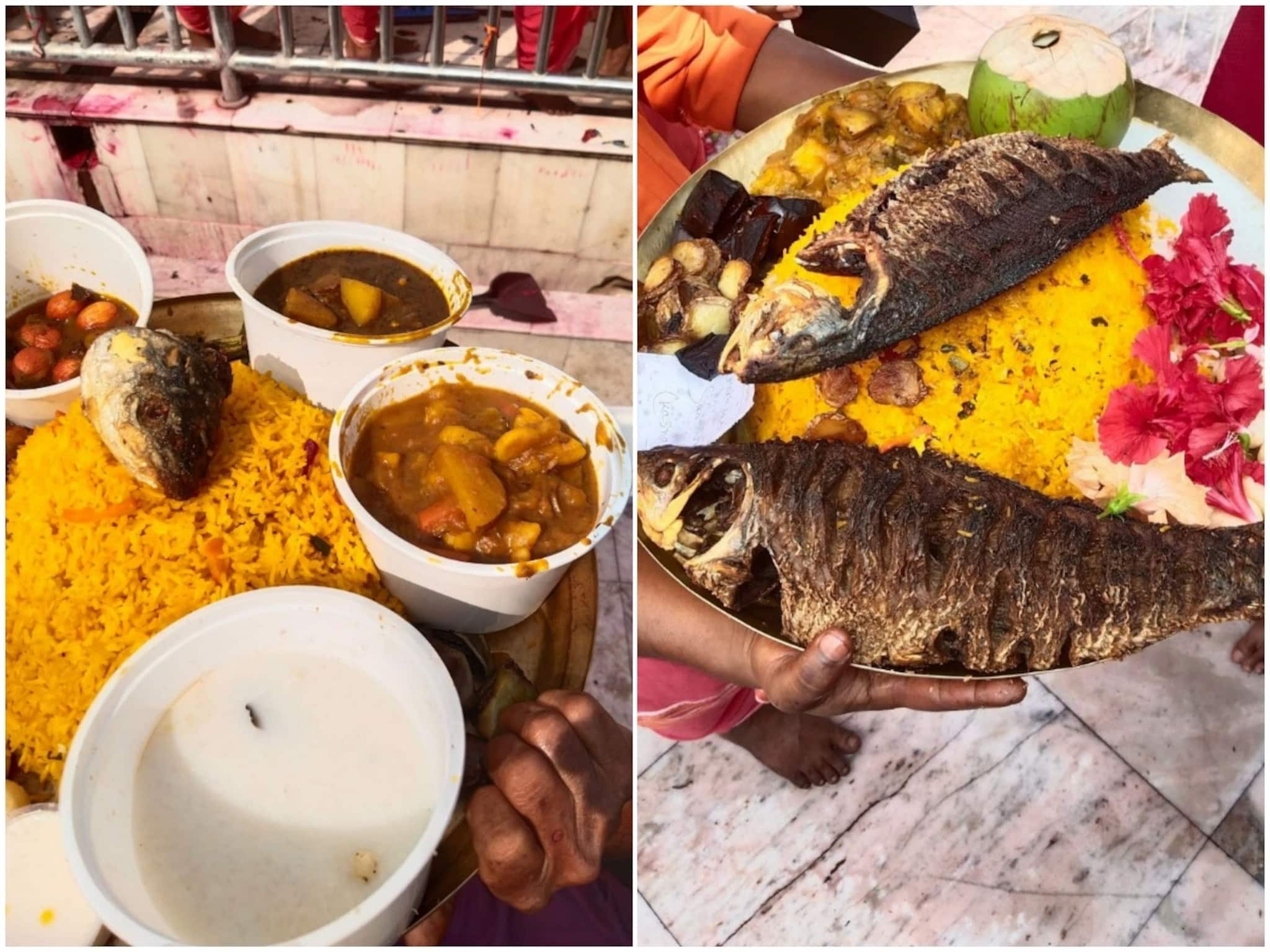 আর কিছুক্ষণেই শুরু হবে কালীপুজো! মায়ের অন্নে কী কী নিবেদন করা হল? রয়েছে পোড়া 'শোলমাছ'-এর রীতি