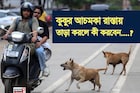 কুকুর হঠাৎ রাস্তায় তাড়া করলে কী করবেন জানেন? শিখে নিন এই ছোট্ট 'ট্রিক'!