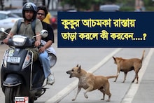 কুকুর হঠাৎ রাস্তায় তাড়া করলে কী করবেন জানেন...? শিখে নিন এই ছোট্ট 'ট্রিক'! গ্যারান্টি, সম্পূর্ণ নিরাপদ থাকবেন!