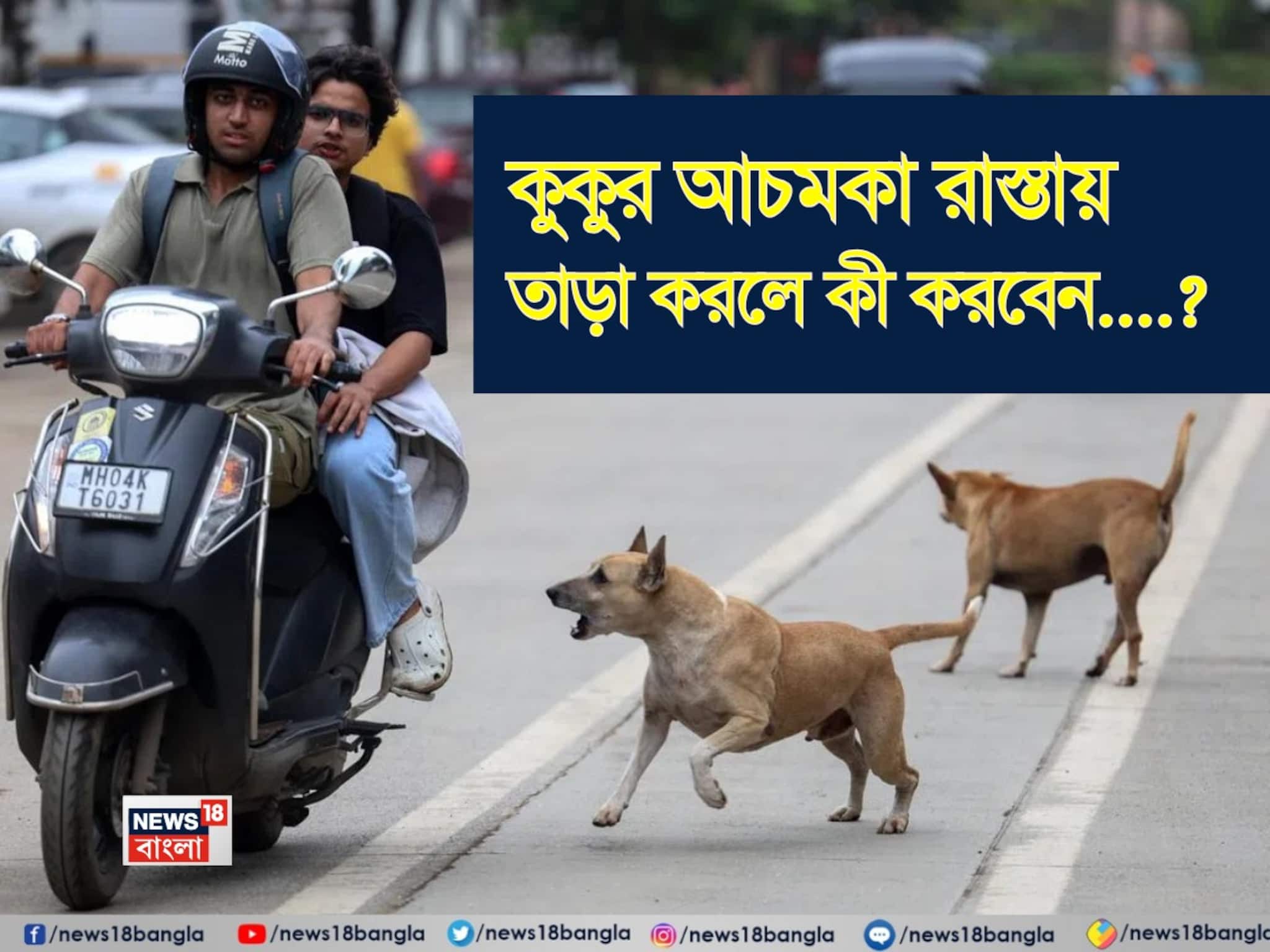 কুকুর হঠাৎ রাস্তায় তাড়া করলে কী করবেন জানেন...? শিখে নিন এই ছোট্ট 'ট্রিক'! গ্যারান্টি, সম্পূর্ণ নিরাপদ থাকবেন!