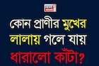 কোন প্রাণীর লালায় গলে ধারালো কাঁটা? ডেড সি-র নোনা জল খেয়েও সুস্থ? ৯৯% মানুষই জানেন না!