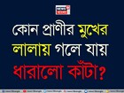কোন প্রাণীর লালায় গলে ধারালো কাঁটা? ডেড সি-র নোনা জল খেয়েও সুস্থ? ৯৯% মানুষই জানেন না!