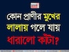 কোন প্রাণীর লালায় গলে ধারালো কাঁটা? ডেড সি-র নোনা জল খেয়েও সুস্থ? ৯৯% মানুষই জানেন না!