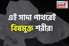 ১ টুকরো ‘সাদা পাথর’! এই শুদ্ধিকারী রত্নেই বিষমুক্ত শরীর! ছোঁয়ালে গায়েব ব্রণ মুখের দুর্গন্ধ