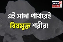 ১ টুকরো ‘সাদা পাথর’! এই শুদ্ধিকারী রত্নেই বিষমুক্ত শরীর! ছোঁয়ালে গায়েব ব্রণ মুখের দুর্গন্ধ