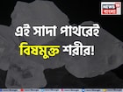 ১ টুকরো ‘সাদা পাথর’! এই শুদ্ধিকারী রত্নেই বিষমুক্ত শরীর! ছোঁয়ালে গায়েব ব্রণ মুখের দুর্গন্ধ