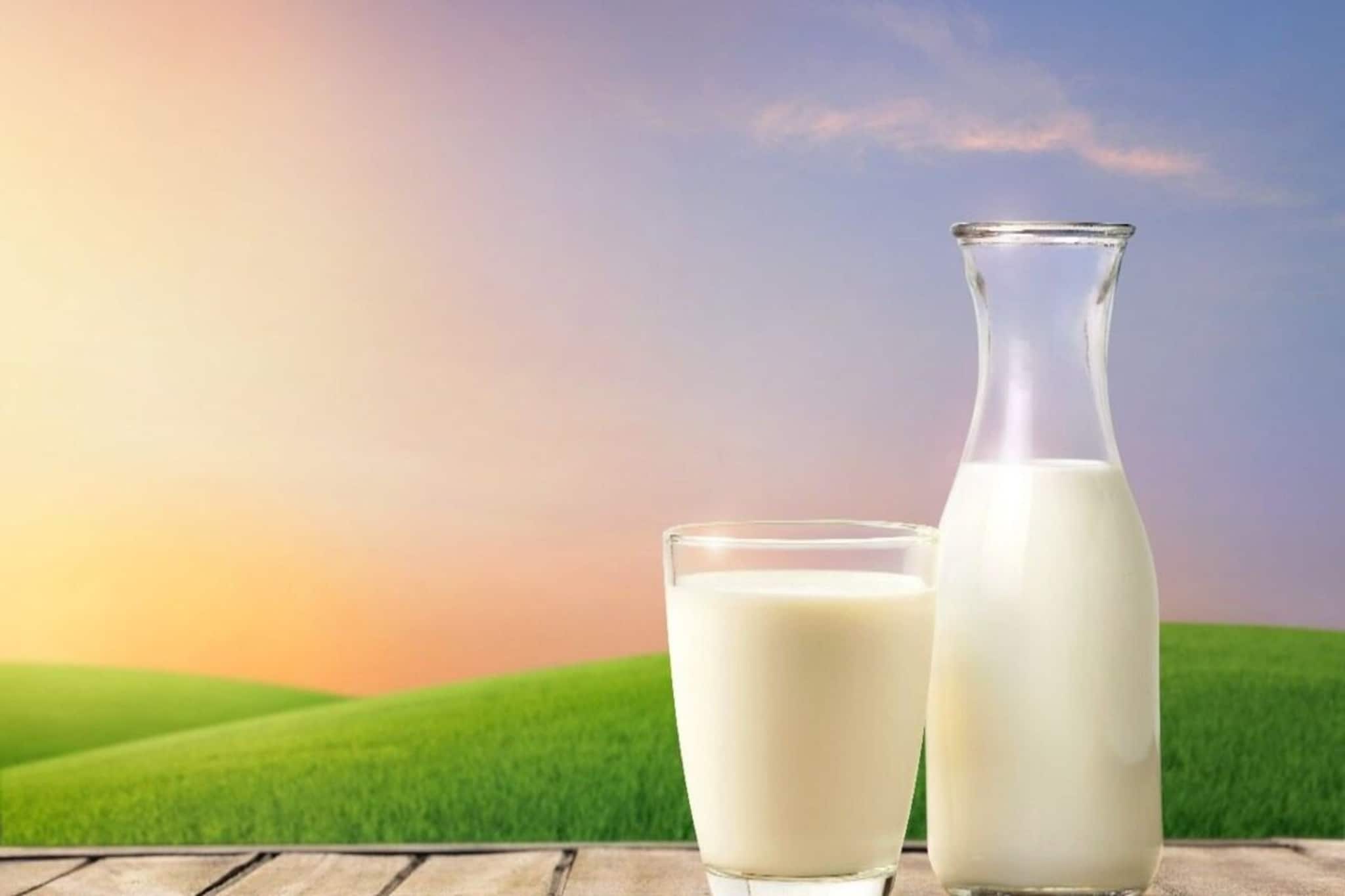 দুধের সঙ্গে একটু ঘি মিশালেই ম্যাজিক! এক ডজন রোগে ওষুধের মতো কাজ করে