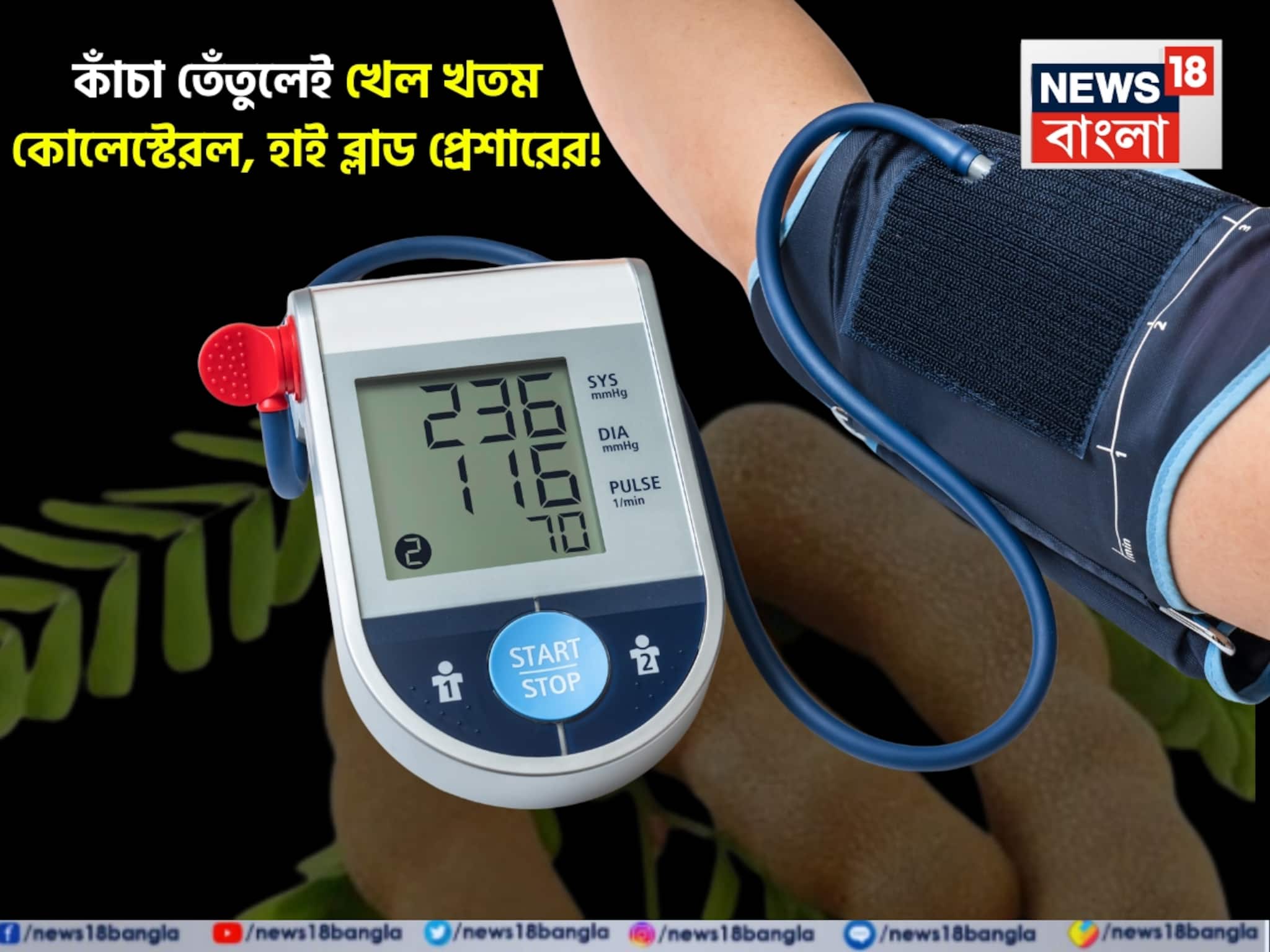 Green Tamarind (Kancha Tentul): খারাপ কোলেস্টেরলের খেল খতম! বরফের মতো গলবে চর্বি! রক্তচাপ কমিয়ে হার্ট ভাল রাখতে একটু হলেও কাঁচা তেঁতুল খান এভাবে! Green Tamarind (Kancha Tentul): খারাপ কোলেস্টেরলের খেল খতম! বরফের মতো গলবে চর্বি! রক্তচাপ কমিয়ে হার্ট ভাল রাখতে একটু হলেও কাঁচা তেঁতুল খান এভাবে!