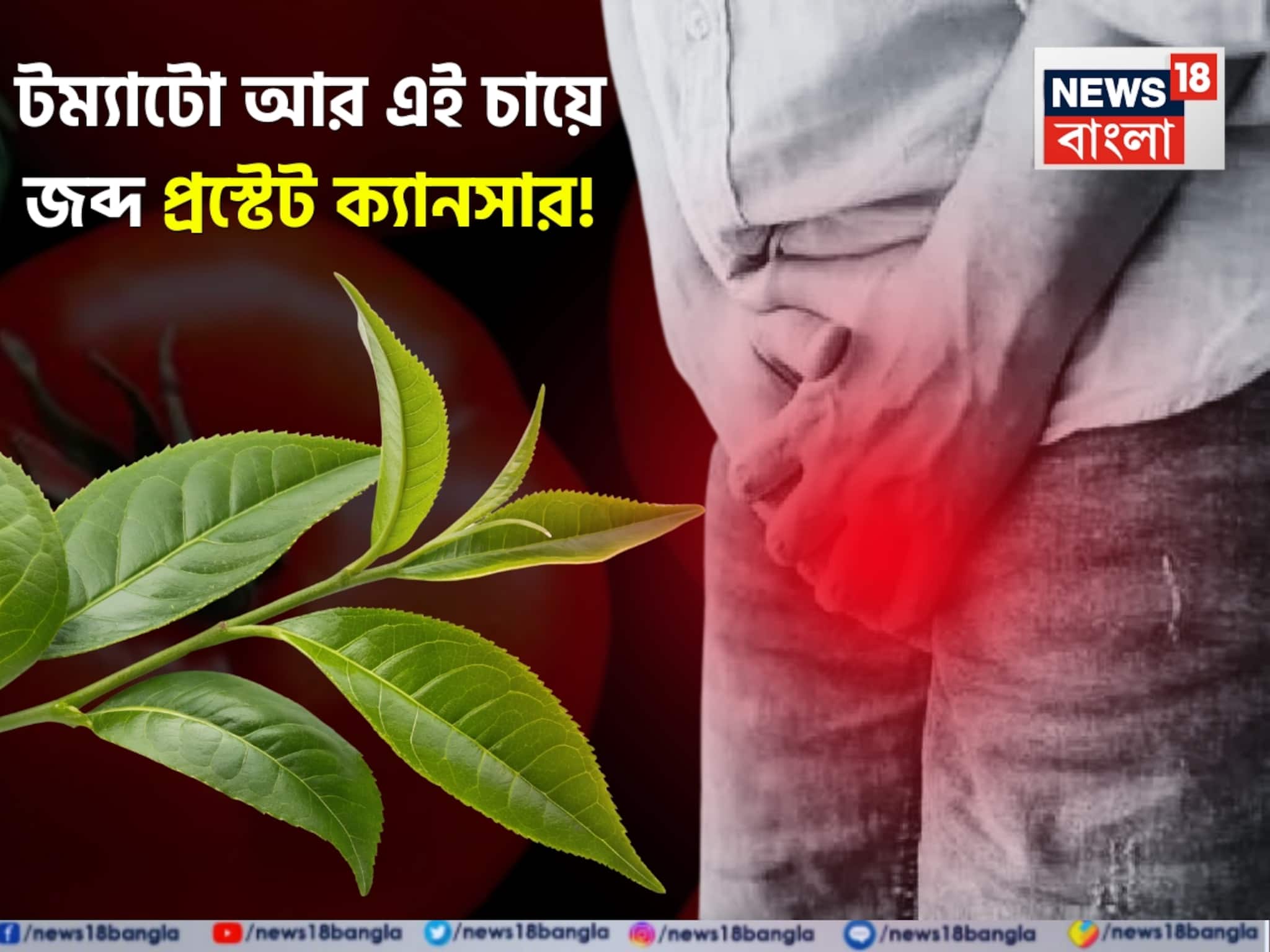 Prostate Cancer: অভ্যাস পাল্টে রাঁধুন এই তেলে! টম্যাটো খান এভাবে! সঙ্গে খান ‘এই’ চা! প্রস্টেটের রোগের যম...হবে না ক্যানসার