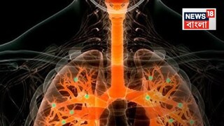 প্রতীকী ছবি