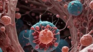 পরিবারের কারও ক্যানসার থাকলেই কি আপনারও আশঙ্কা? ডাক্তাররা জানালেন আসল সত্য