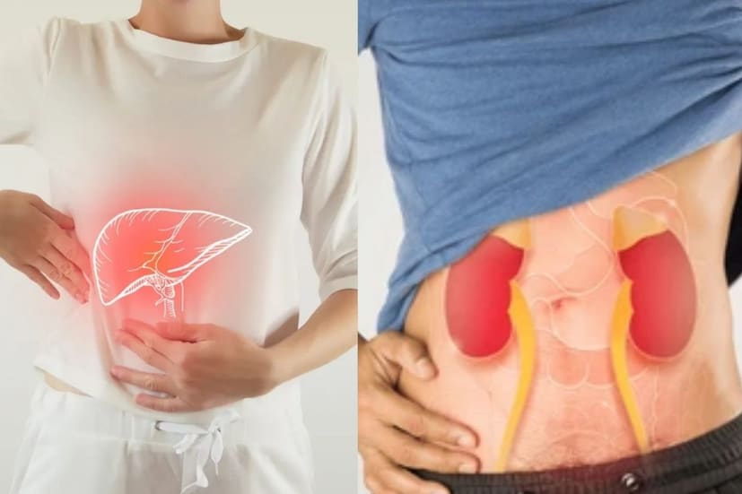 কিডনি শরীরের সবচেয়ে পরিশ্রমী অঙ্গ, যা শরীর পরিষ্কার করে। তারা প্রতিদিন রক্ত ​পরিশোধন করে এবং প্রস্রাবের মাধ্যমে অবাঞ্ছিত পদার্থ অপসারণ করে। যখন কিডনি দুর্বল হয়ে যায়, তখন লক্ষণগুলির মধ্যে রয়েছে রাতের বেলা প্রস্রাব, প্রস্রাবের রঙ বিবর্ণ হওয়া, প্রস্রাবের ফেনা, প্রদাহ, ক্লান্তি, মুখে তিক্ত স্বাদ, ক্ষুধা হ্রাস এবং ফ্যাকাশে ভাব। মাঝে মাঝে, শ্বাসকষ্ট, উচ্চ রক্তচাপ এবং কোমরের নীচে ব্যথাও কিডনির উপর চাপ বৃদ্ধির লক্ষণ।