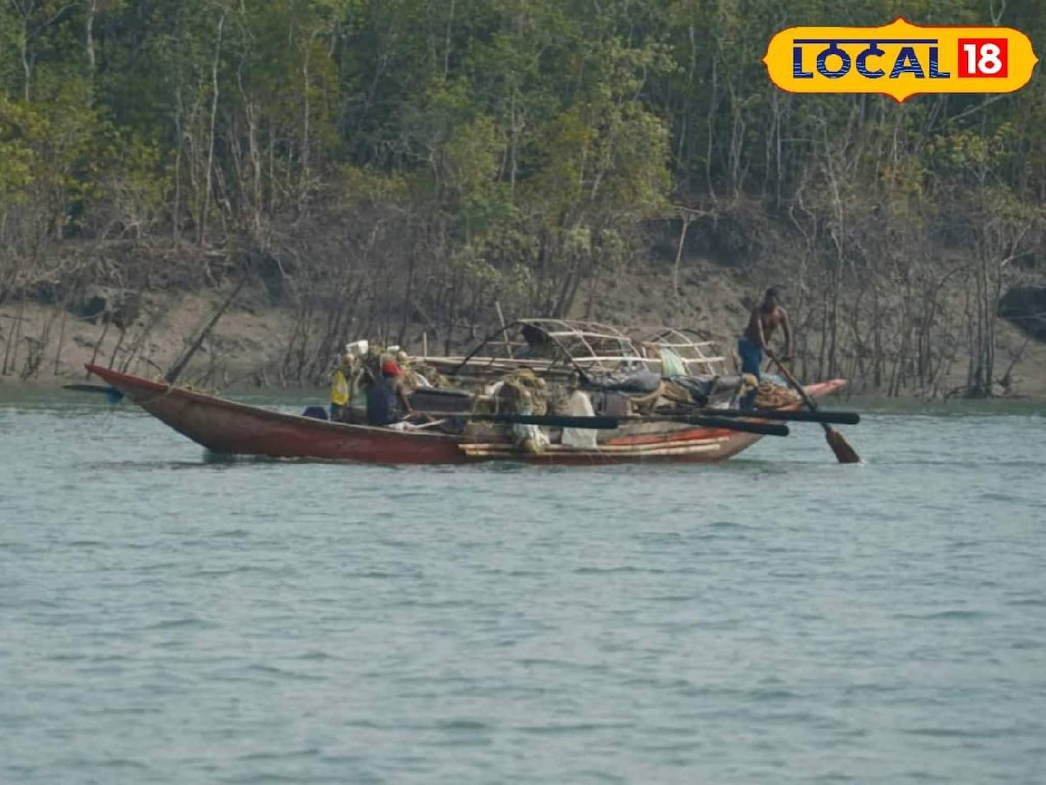 শুধু পেটের দায় নয়! প্রাণের ঝুঁকি সত্ত্বেও মৎসজীবীরা কেন সুন্দরবনের জঙ্গলে যান জানেন?