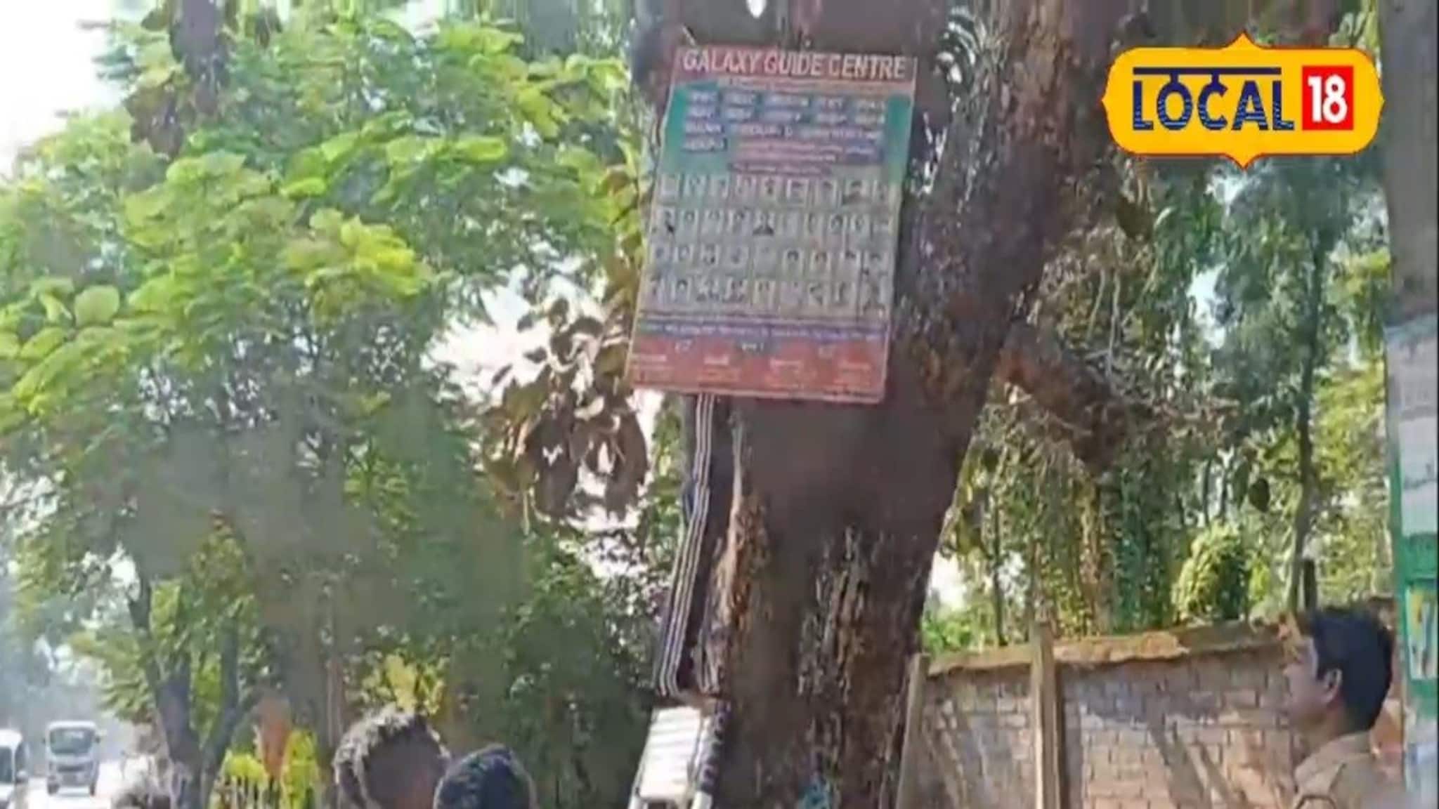 Protect Trees: গাছকে কষ্ট দিয়ে ব্যবসা বন্ধ! অরণ্য সুন্দরীকে রক্ষা করতে বড় সিদ্ধান্ত বনদফতরের, অমান্য করলে গুনতে হবে জরিমানা