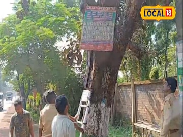 গাছে