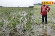 প্রকৃতির মারে চাষিদের নিঃস্ব হওয়ার পালা! লাভের আশায় চাষ করে এখন মাথা ঠুকছেন