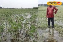 Agriculture Loss : চোখের সামনে সব শেষ, বীমার সুযোগও নেই! লাভের আশায় চাষ করে এখন মাথা ঠুকছেন! কৃষকদের ভয়ানক দুর্দশা
