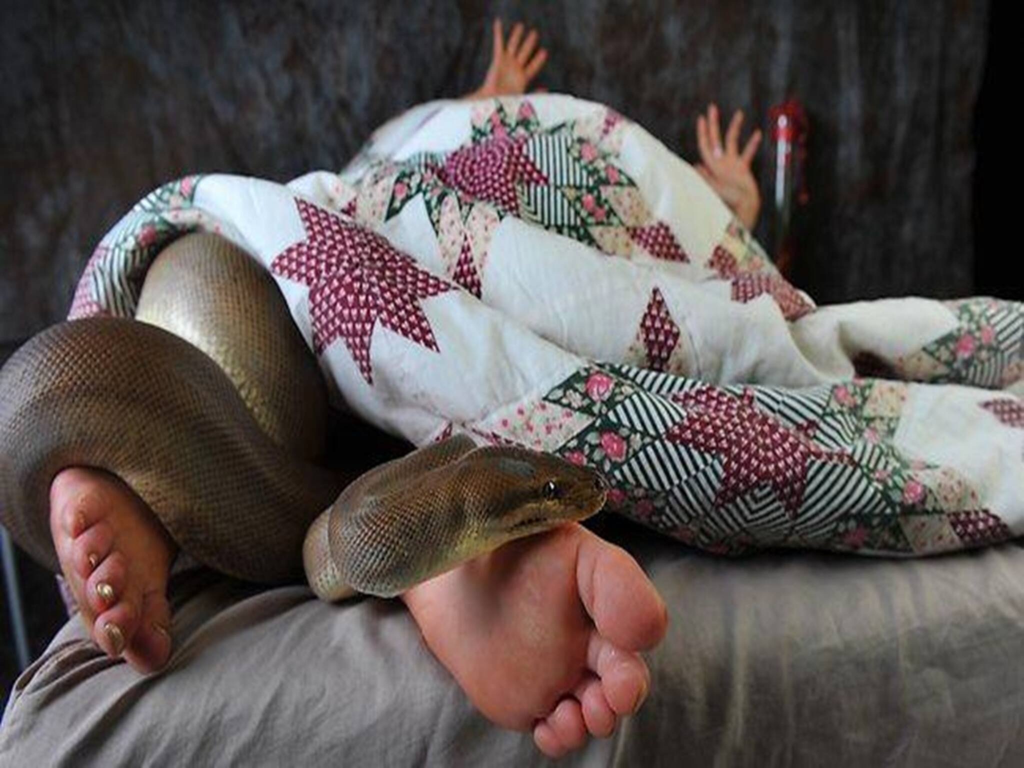 রাত হলেই বিছানায় ধীরে ধীরে সাপে পরিণত হন স্ত্রী! তারপরেই স্বামীকে পর পর ছোবল! ব্যক্তির দাবিতে চমকে উঠছেন সবাই!