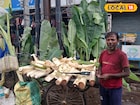 বর্ধমানের যুবকের নতুন বিজনেস আইডিয়া! কলাগাছ নিয়ে করছেন 'এই' কাজ, তাতেই আয় নজরকাড়া