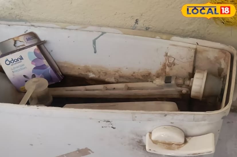 ফ্লাশ ট্যাঙ্কের কোণে এবং ভালভের চারপাশের ময়লা বোঝা যায় না, তবে এখান থেকেই গন্ধের উৎপত্তি হয়। একটি পুরনো টুথব্রাশ দিয়ে ট্যাঙ্কের ঢাকনা এবং ফ্লোট ভালভের চারপাশের যে কোনও ময়লা আলতো করে ঘষে মুছে ফেলতে হবে। পরিষ্কার করার পর সমস্ত অবশিষ্টাংশ অপসারণের জন্য পরিষ্কার জল দিয়ে ধুয়ে ফেলতে হবে।