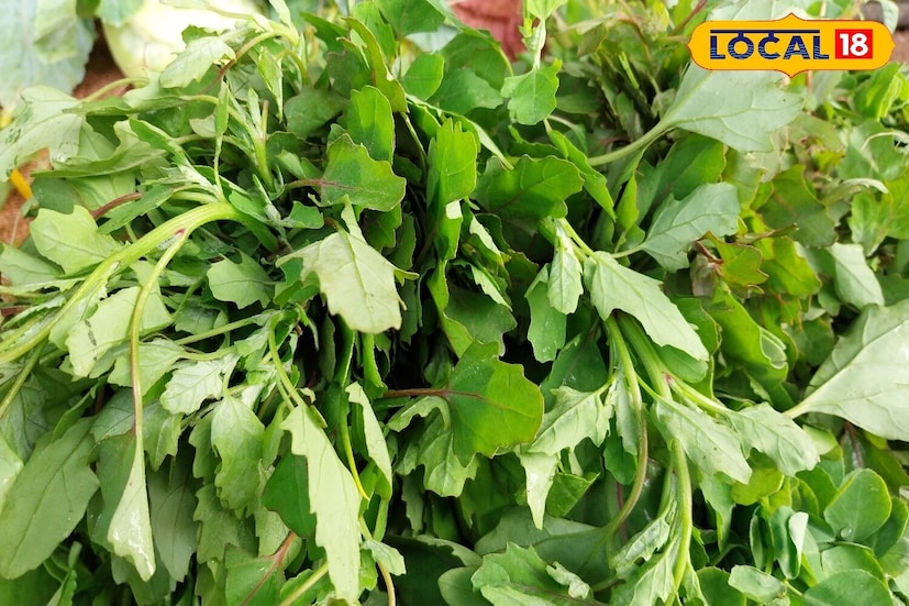 এর মধ্যে একটি হল বেথো শাক। আসুন জেনে নেই কেন অন্য সব শাক ছেড়ে এই কম দামি শাকটি খাওয়ার পরামর্শ দেন বিশেষজ্ঞরা? এই শাক খেলে আমরা ঠিক কী কী উপকার পাই...? 