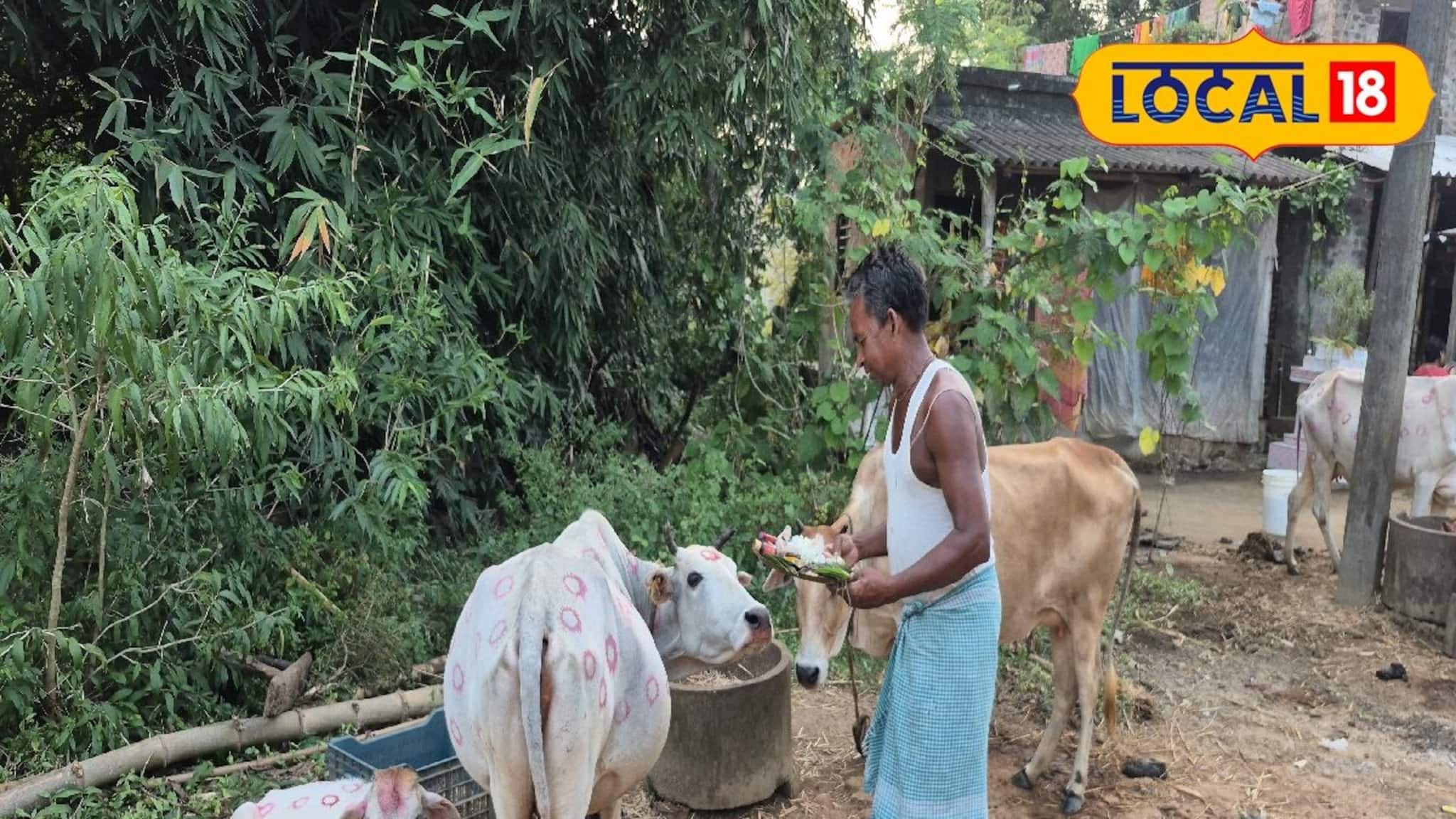 ঘরে ঘরে বিয়ের প্রস্তুতি, আলপনা সেজে উঠেছিল গ্রাম! সন্ধ্যায় 'বর-বউ' ফিরতেই উৎসবে মাতলেন সকলে