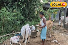 ঘরে ঘরে বিয়ের প্রস্তুতি, আলপনা সেজে উঠেছিল গ্রাম! সন্ধ্যায় 'বর-বউ' ফিরতেই উৎসবে মাতলেন সকলে