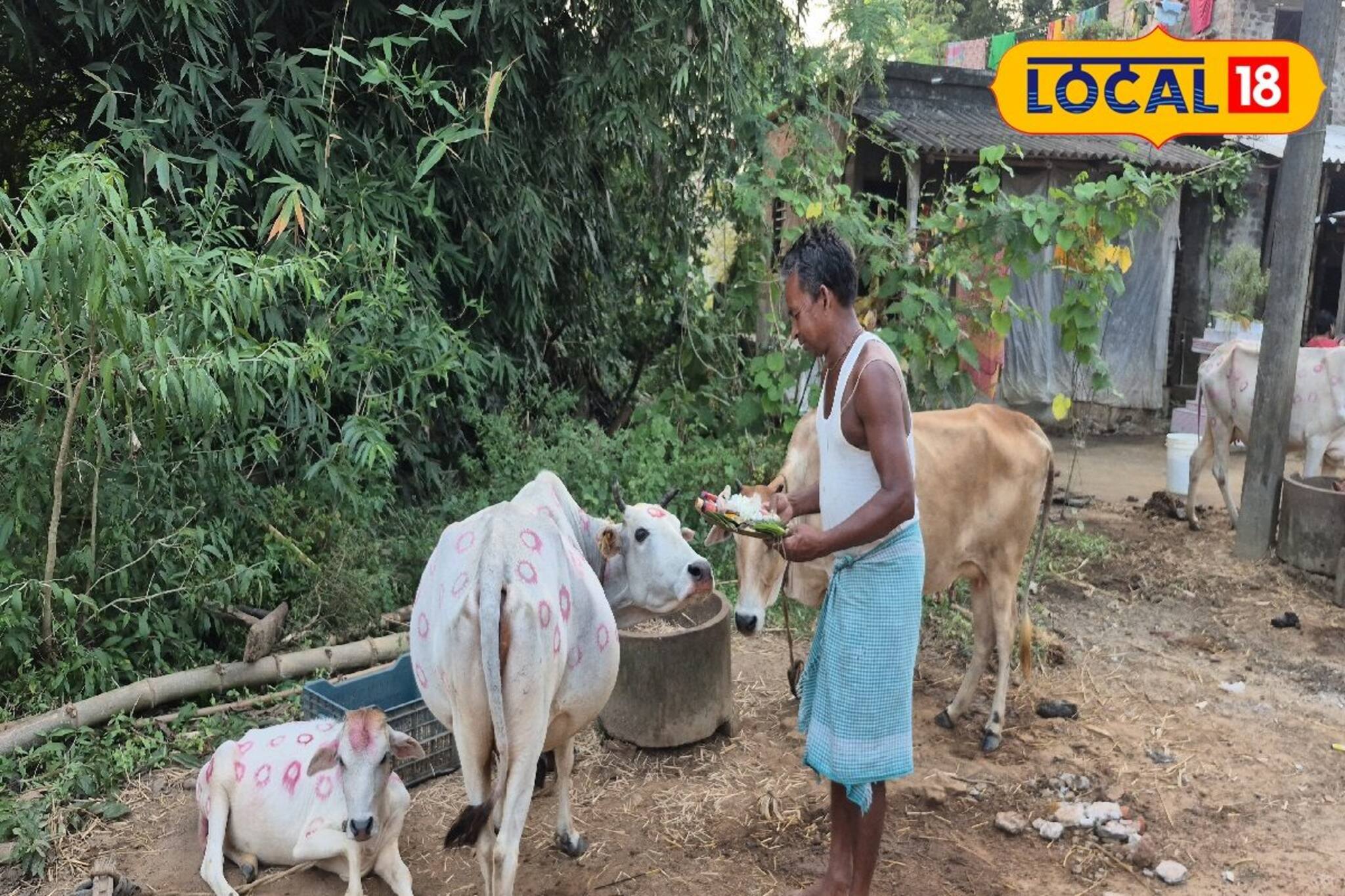 প্রতিবছর এই দিনে জঙ্গলমহলের ঘরে ঘরে হয় বিয়ের অনুষ্ঠান! পাত্র-পাত্রী কারা জানেন?