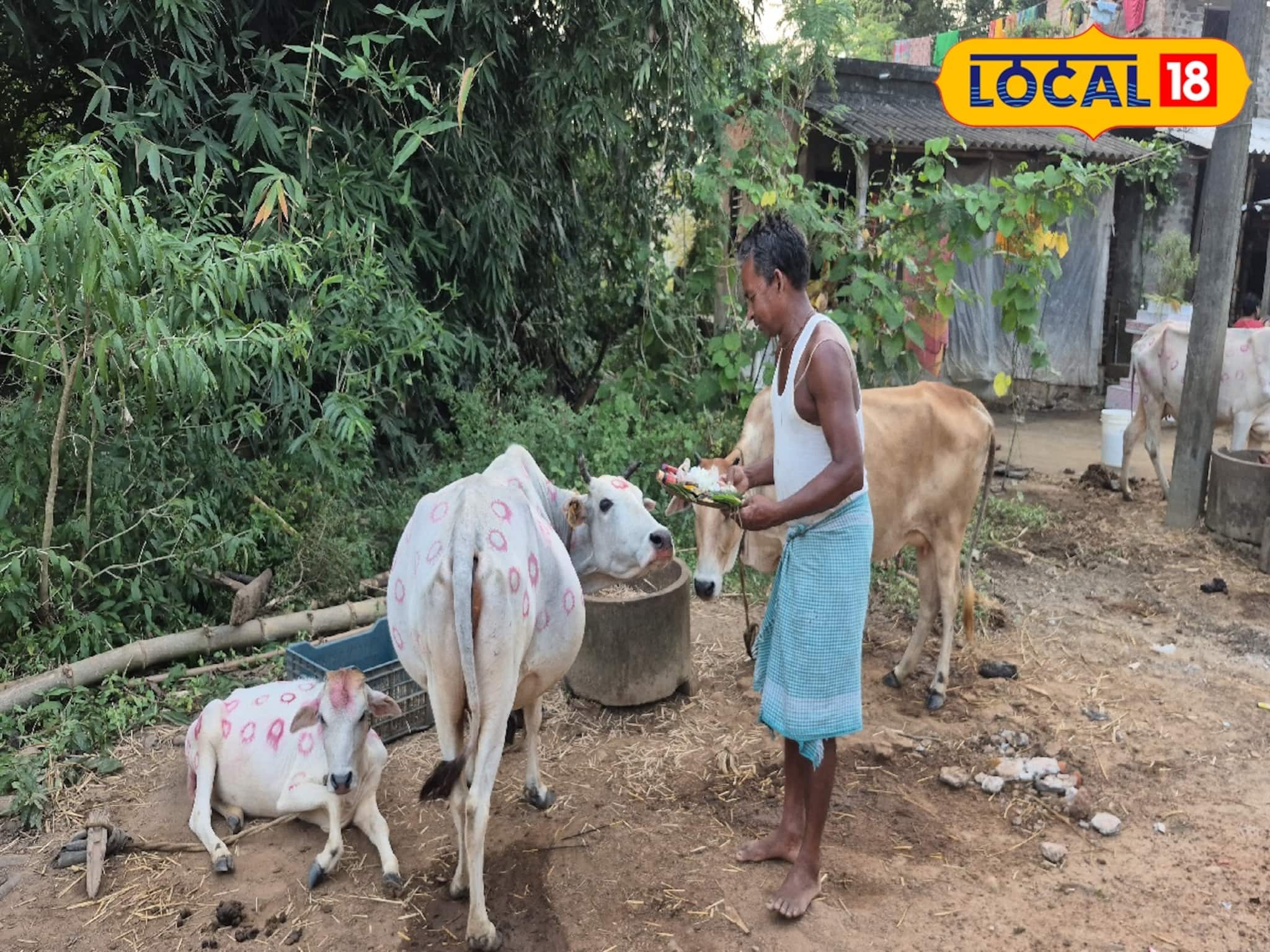 ঘরে ঘরে বিয়ের প্রস্তুতি, আলপনা সেজে উঠেছিল গ্রাম! সন্ধ্যায় 'বর-বউ' ফিরতেই উৎসবে মাতলেন সকলে