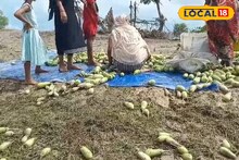এক ধাক্কায় জলে গেল ৭ লক্ষ টাকা! উত্তরবঙ্গের পাহাড়ে বিপর্যয়ের মাঝেই বিরাট ক্ষতি, সরকার কি পাশে দাঁড়াবে 'এইসব' চাষিদের?