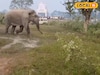 দেখেই হাত-পা ঠাণ্ডা হয়ে গেল, ভয়ে কাঁপতে লাগলেন ছটব্রতীরা! হঠাৎ কে এসেছিল জানেন?