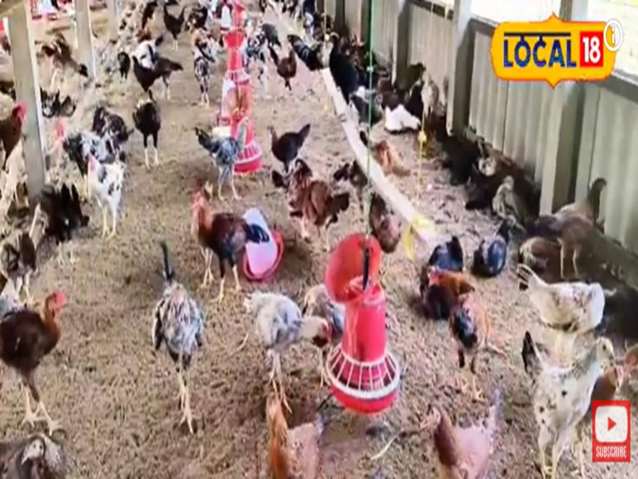 Money Making Ideas: বাড়িতেই ব্যবসা! রাতারাতি মালামাল এই যুবক! ভাবনা চমকে দেবে!