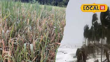 ঘূর্ণিঝড়