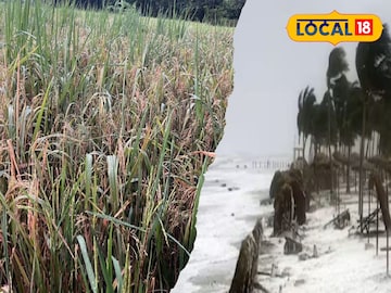 ঘূর্ণিঝড় ঘূর্ণিঝড়