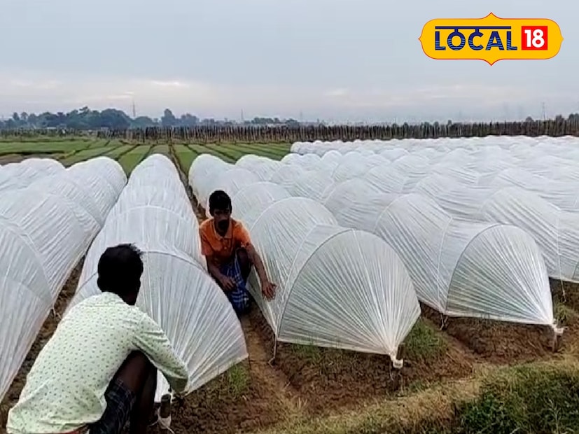 পূর্ব বর্ধমান জেলাতেও বিক্ষিপ্তভাবে বৃষ্টি দেখা মিলেছে এবং চাষিরা অসময়ের বৃষ্টি থেকে নিজেদের ফসল রক্ষা করতে ত্রিপল দিয়ে জমি ঢাকার কাজ শুরু করেছেন।