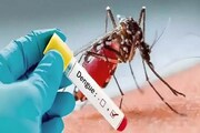 ডেঙ্গু-ম্যালেরিয়ার জোড়া থাবা, আক্রান্ত শয়ে শয়ে মানুষ, বন্যা এলাকায় ভয়াবহ অবস্থা