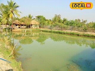 পুকুর। (প্রতিকী ছবি) পুকুর। (প্রতিকী ছবি)