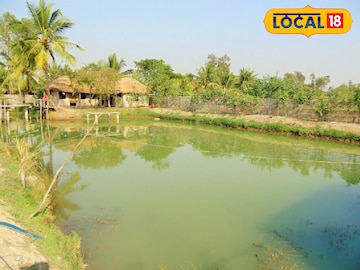 পুকুর। (প্রতিকী ছবি) পুকুর। (প্রতিকী ছবি)