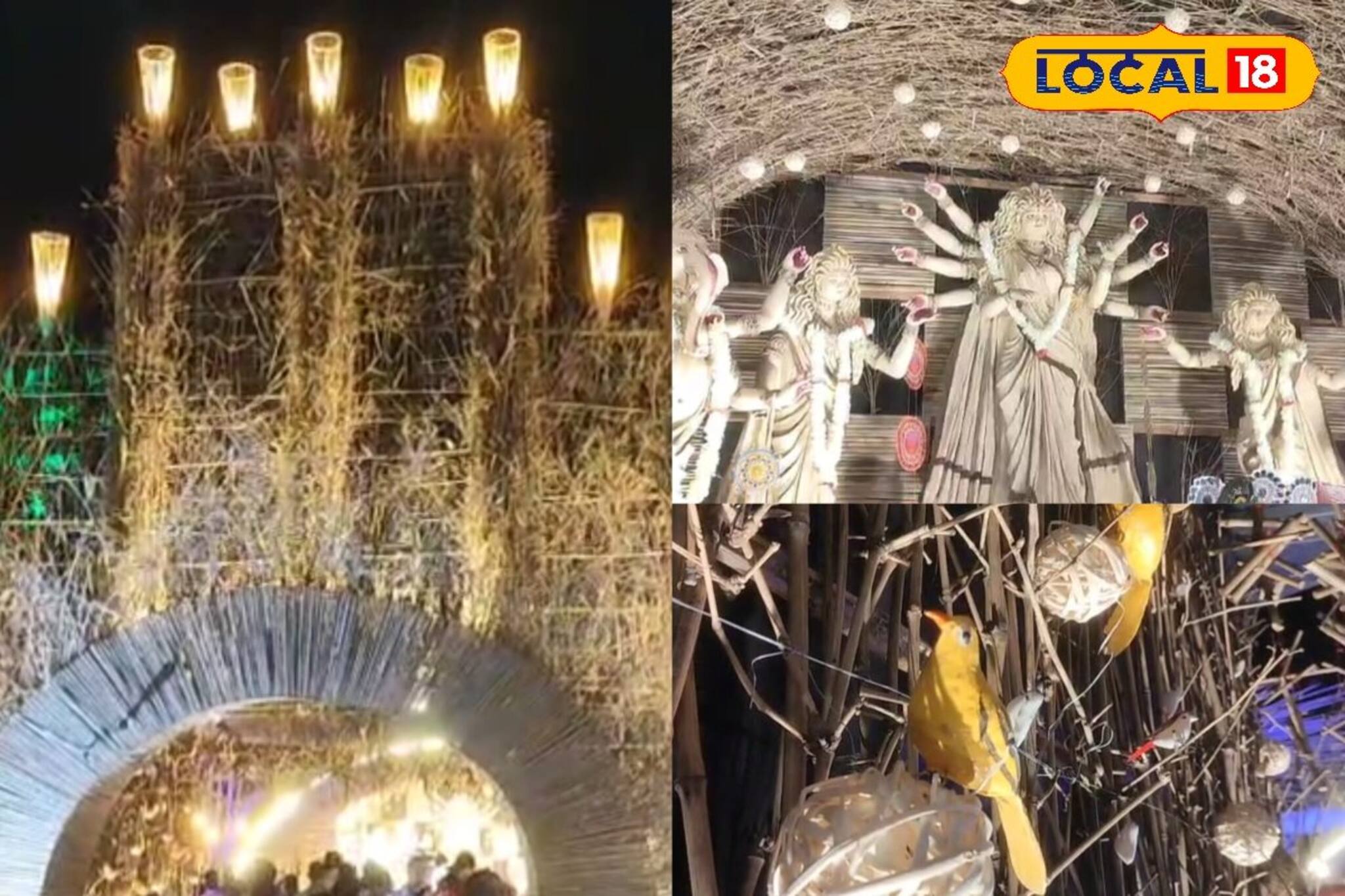 দূষণমুক্ত পরিবেশ থিম ফুটিয়ে তুলে নজর কাড়ছে ফরাক্কাতে, জানুন