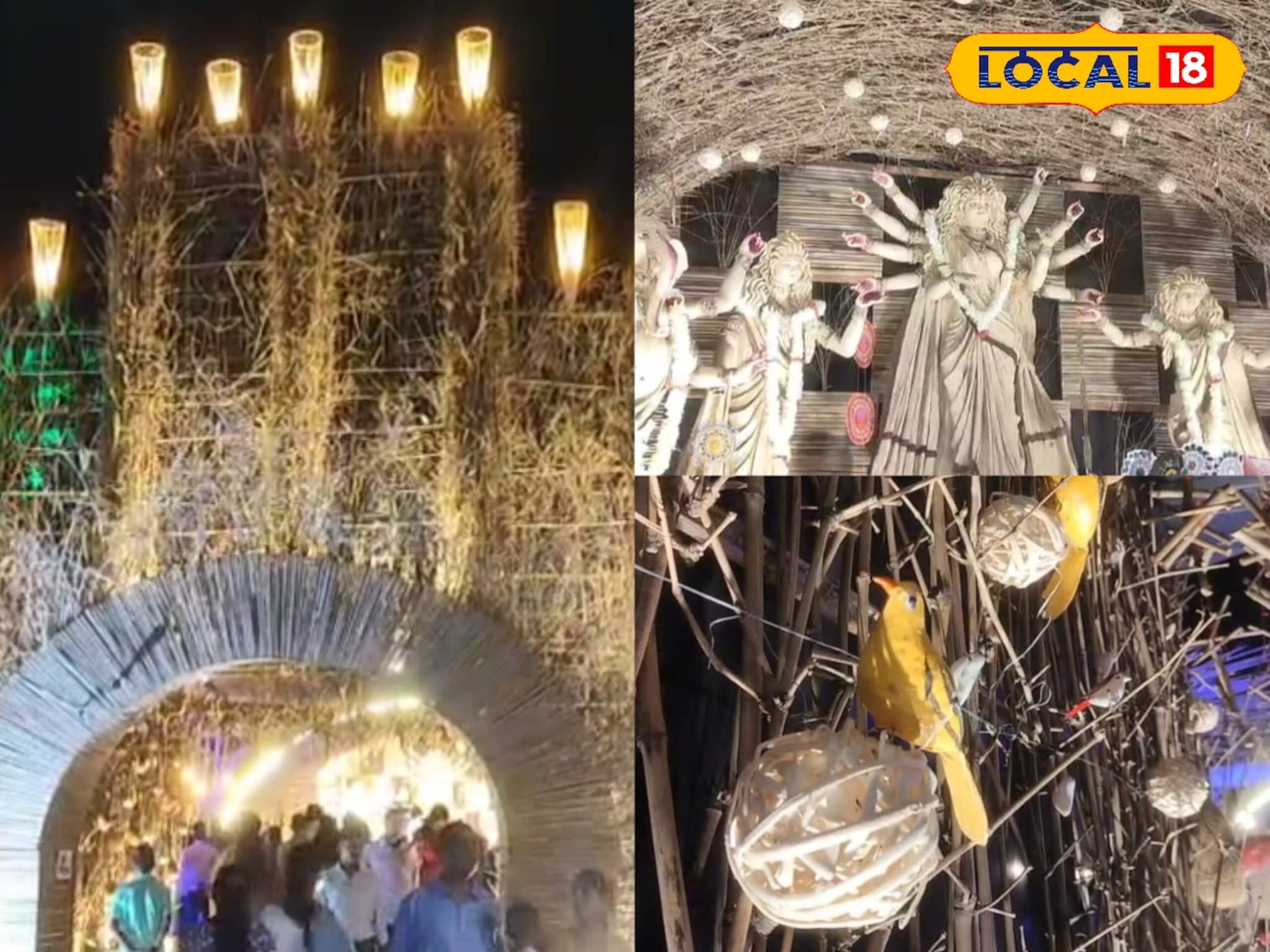 দূষণমুক্ত পরিবেশ থিম ফুটিয়ে তুলে নজর কাড়ছে ফরাক্কাতে, জানুন