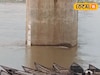 ডিভিসি’র ছাড়া জলে উত্তাল দামোদর! লাগাতার মাইকিং করছে প্রশাসন