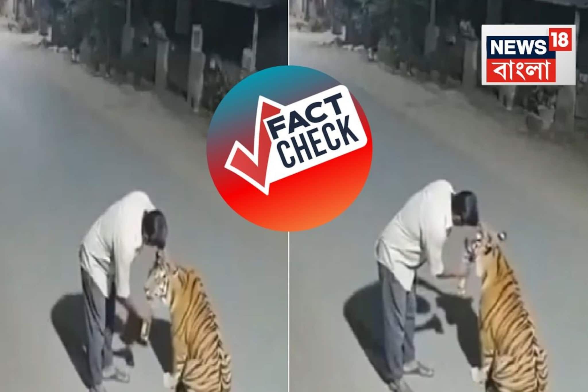 পেঞ্চের জঙ্গলে মদ্যপ বাঘকে বোতল থেকে খাওয়াতে চাইছে দিশি মদ! ভাইরাল ভিডিও