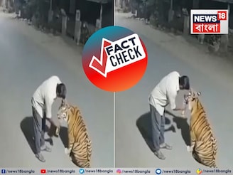 পেঞ্চের জঙ্গলে মদ্যপ বাঘকে বোতল থেকে খাওয়াতে চাইছে দিশি মদ! ভাইরাল ভিডিও