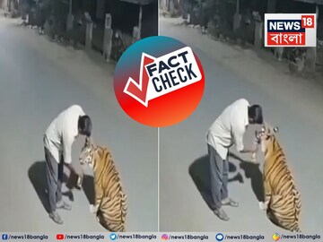 পেঞ্চের জঙ্গলে মদ্যপ বাঘকে বোতল থেকে খাওয়াতে চাইছে দিশি মদ! ভাইরাল ভিডিও