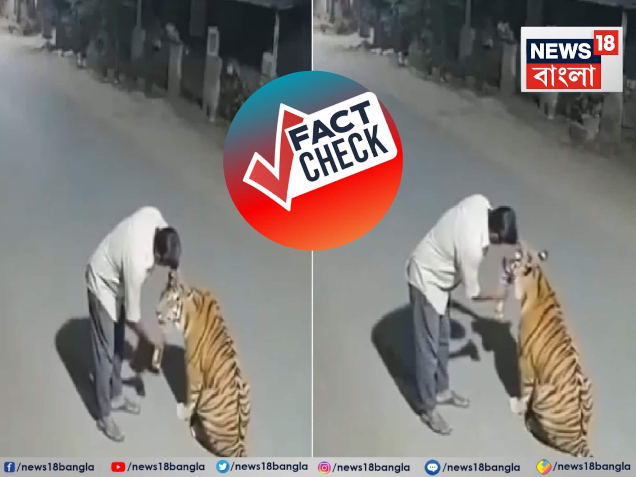 Fact Check: পেঞ্চের জঙ্গলে মদ্যপ বাঘকে বোতল থেকে খাওয়াতে চাইছে দিশি মদ! ভাইরাল ভিডিও ঘিরে তোলপাড়, জানুন আসল সত্যিটা Fact Check: পেঞ্চের জঙ্গলে মদ্যপ বাঘকে বোতল থেকে খাওয়াতে চাইছে দিশি মদ! ভাইরাল ভিডিও ঘিরে তোলপাড়, জানুন আসল সত্যিটা