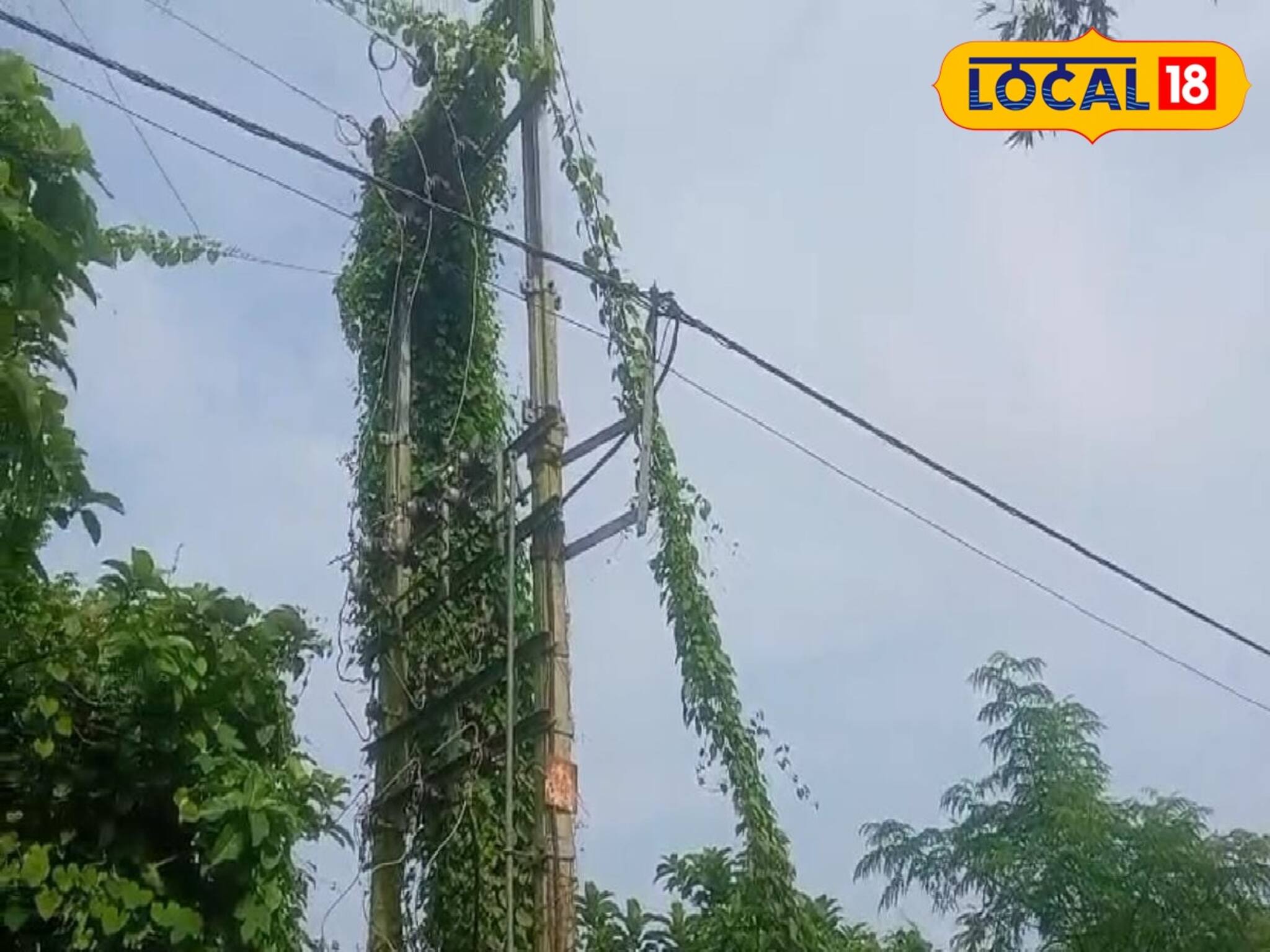 বৈদ্যুতিক খুঁটি, ট্রান্সফর্মারেই লুকিয়ে যত কাণ্ড! লড়াই ২ পরিবারের, আহত কমপক্ষে ১০